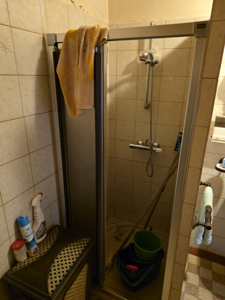 Rez-de-chaussée - Salle de bains_002