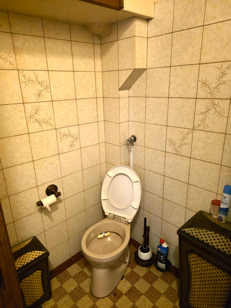Rez-de-chaussée - Salle de bains_003
